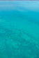 Barramundi Bliss