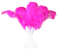 Fifi de Fleur