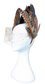 Beth