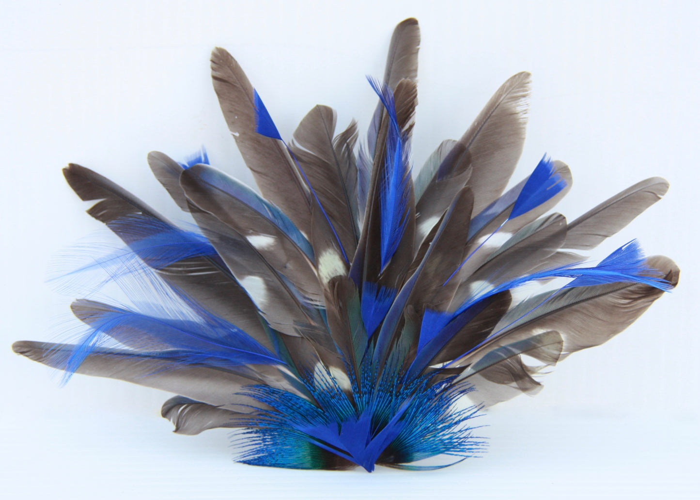 Hats by Felicity - Feather HAT-ON